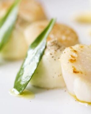 Coquilles