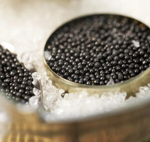 Royal belgian kaviaar